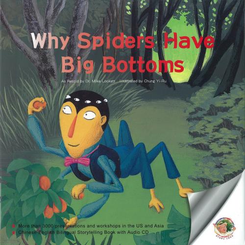 Why Spiders Have Big Bottoms